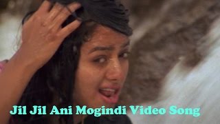 Jil Jil Ani Mogindi Video Song || Pelli Peetalu Movie || Jagapathi Babu, Soundarya