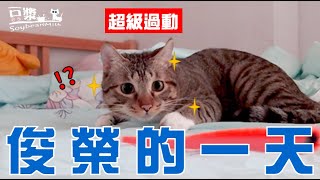 【SoybeanMilk Cat】 The day of hyperactive boy Jun Rong catㄅ