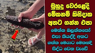 මේවා නොදකින දෑස කුමටද ? EP:86