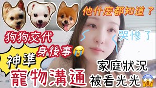 【寵物溝通】🐶狗狗竟然交代身後事｜超準的寵物溝通師｜家庭狀況被看光光了｜狗狗們什麼都知道｜毛小孩｜#狗狗｜#寵物｜#寵物溝通｜#港人移民台灣｜#2022 ｜#譚譚