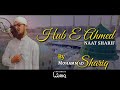 Hub E Ahmed | Naat Sharif | Abdul Basit Hassani Sahab | Mohammad Shariq