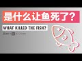 What killed the fish? | Chinese listening practice by GoEast Mandarin (HSK4 HSK5)