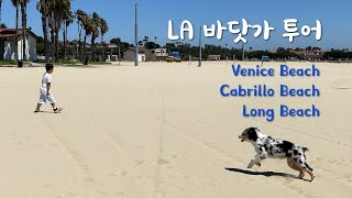 롱비치에 반려견 전용 해변이? | 미국 바닷가 3종세트 - Venice Beach, Cablillo Beach, Long Beach(Rosie's Dog Park)