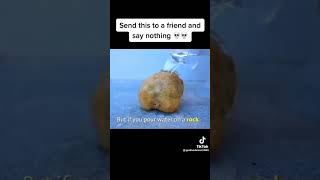 Send this to your friend and say nothing 😂