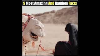 99% लोगों को ये पता नहीं होगा | 5 Most Amazing Facts | Facts About World | Facts | #shorts