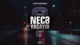 Elmir Məmmədli - Necə Yaşayır 2022 (Official Music)