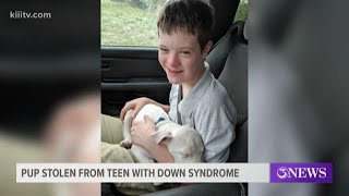 Aransas Pass resident searching for missing dog for down syndrome son