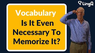 Vocabulary - Is It Even Necessary To Memorize It?