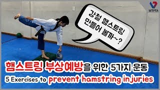 햄스트링 부상 예방을 위한 5가지 운동. 5 Exercises to prevent hamstring injuries