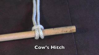 Cows Hitch