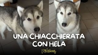 Una chiacchierata con Hela