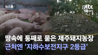 [단독] 땅속에 통째로 묻은 제주돼지농장 근처엔 '지하수보전지구 2등급' / JTBC 뉴스룸