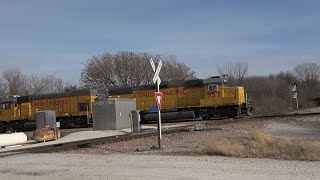 CN's Tara Junction with Union Pacific and Canadian National with Norfolk Southern Power!