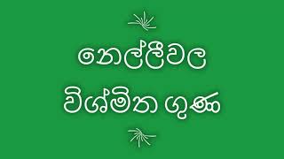 නෙල්ලීවල විශ්මිත ගුණ