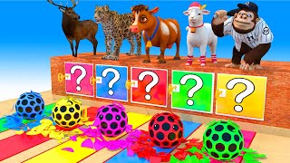 Paint Animals Cow Baseball Monkey Sheep Guess The Right Key ESCAPE ROOM CHALLENGE Animals Cage Game