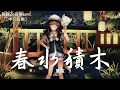 雙笙 - 春水積木【動態歌詞Lyrics】