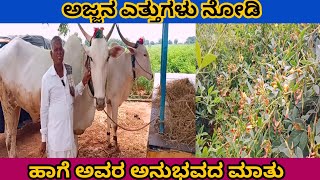 ಇವರು ಎತ್ತುಗಳು ಕಲ್ಲು ಎಳೆಯಲು ತಂದಿದ್ದಾರಂತೆ         ಹೇಗಿದೆ ಎತ್ತುಗಳು ನೋಡೋಣ ಬನ್ನಿ