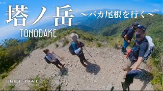 【登山】丹沢 塔ノ岳  バカ尾根ほっこり登山