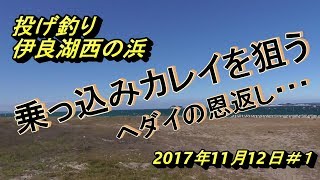 投げ釣り　伊良湖西の浜　乗っ込みカレイを狙う　2017年11月