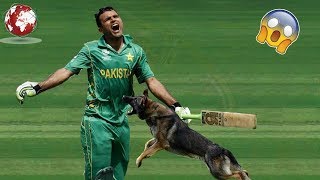 #10 Animals Attacks in Cricket 😱Shocking Moments😱|Beautiful animal attacks|Danger attack in cricket|
