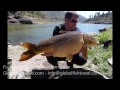 carp gran canaria globalfishtravel.com