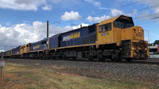 XR559 X48 BL31 PN grain passing Champion Road Crossing