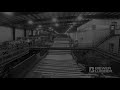 Sawmill Video