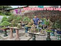 0917869777 _ Tham quan khu vườn Bonsai rộng lớn của anh Beo ở Vĩnh Long