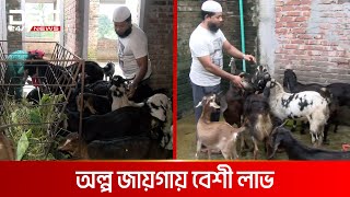 বাড়ির ছাদে ছাগল পালনের নতুন পদ্ধতি | DBC NEWS Special