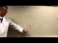 BarnesBasics:  Gradualism versus punctuated equilibrium