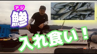 家族で楽しめる釣り！堤防で遠投サビキ釣り！【岩手三陸釣り紀行】