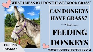 Pasture For Donkeys (Feeding Donkeys) Good Grass v/s what I have