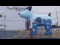 skipper the great north snowdog dfds seaways