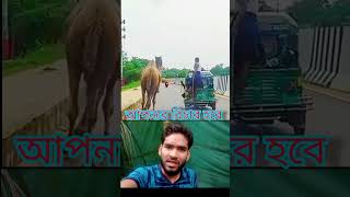 এটা কোনো মানুষের কাজ নয় #shortvideo #sad