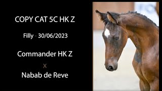 NR 26 - COPY CAT 5C HK Z (Commander HK Z x Nabab de Reve)