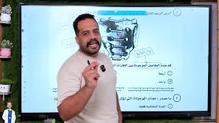 أكثر سؤال صادم في امتحان ثانوية عامة 2024