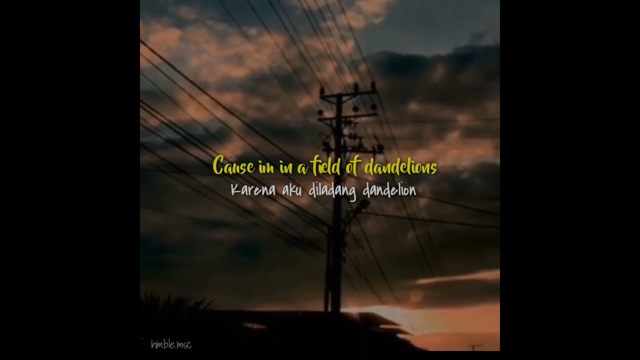 Dandelions-ruth B(slowed Remake Tiktok)lirik Dan Terjemahan Indonesia ...