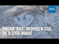 Dinosaur tracks uncovered in Texas due to severe drought