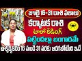 కర్కాటక రాశి ఫలితాలు | JULY MONTH KARKATAKA RASI 2024 | SREEJA TAROT READING | RASI PHALITAALU 2024