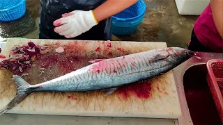 Hand up, knife down, the technique for cutting the seasonal and plump Spanish mackerel seafood