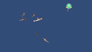 Flocking AI simulation