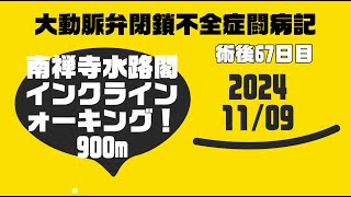 ★大動脈弁閉鎖不全症闘病記20241109 20241112 0524