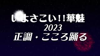 【いよさこい‼華魅　2023　こころ踊る】坊ちゃん屋台まつり　2023/08/27