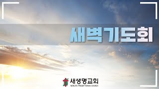 길음뉴타운 새생명교회 24-12-24 새벽기도회