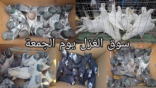 سوق الغزل يوم الجمعة الوكفة الخاصة بالحمام مطيار وحمام زينة انواع كثيرة2025/2/7