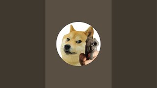 Doge is live!