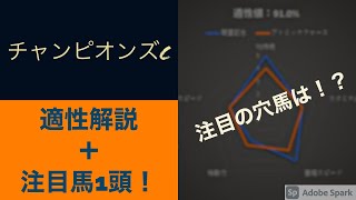 【チャンピオンズカップ 2021】適性解説+注目穴馬！