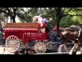 Clydesdales in the parade