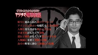 【睡眠用BGM】眠れる都市伝説vol  22