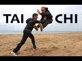 MMA vs Tai Chi - 3 Dangerous FIGHT MOVES to Win any STREET FIGHT!